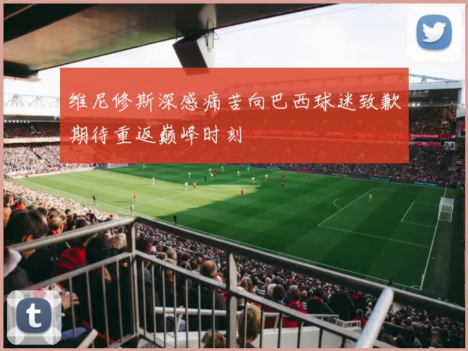 维尼修斯深感痛苦向巴西球迷致歉期待重返巅峰时刻